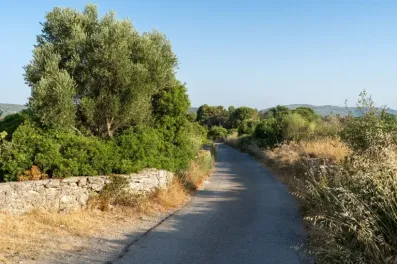 Image du modèle de maison 1.jpg