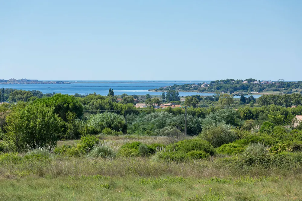 Image du terrain Terrain - 250