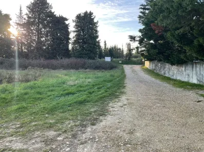 Image du modèle de maison 7.jpg