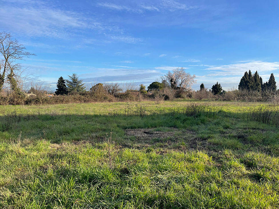 Image du modèle de maison 3.jpg