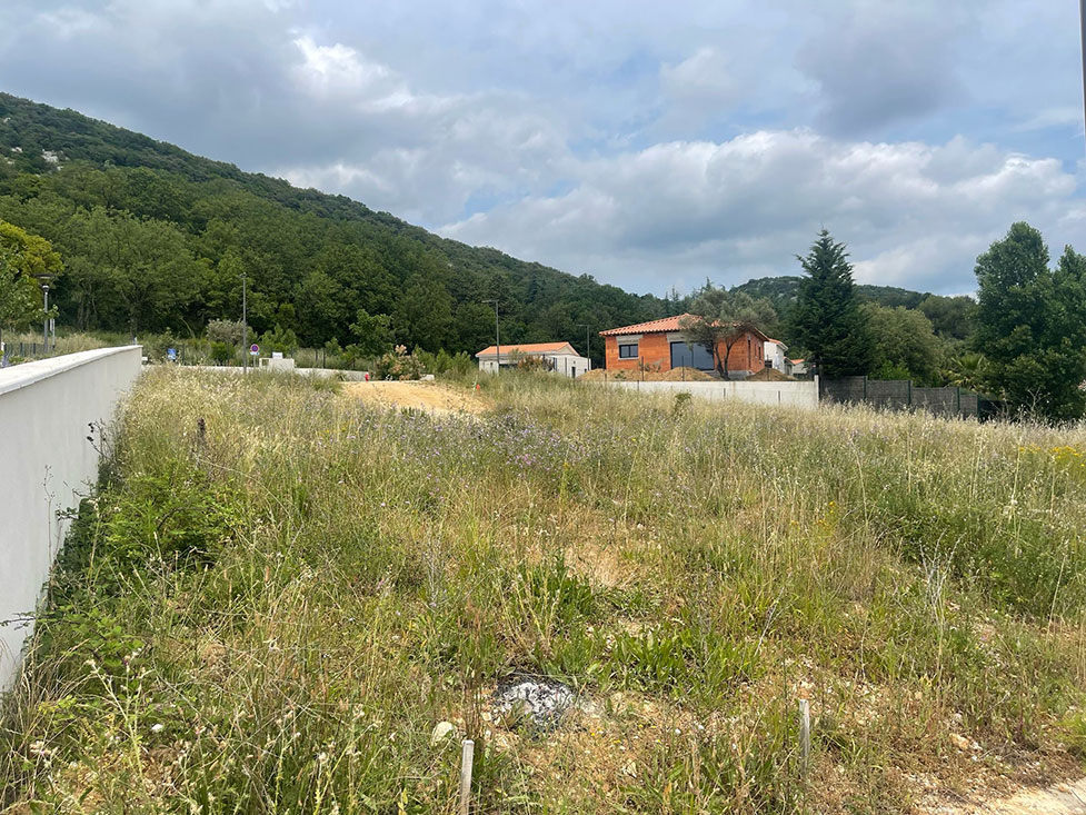 Image du modèle de maison 4.jpg