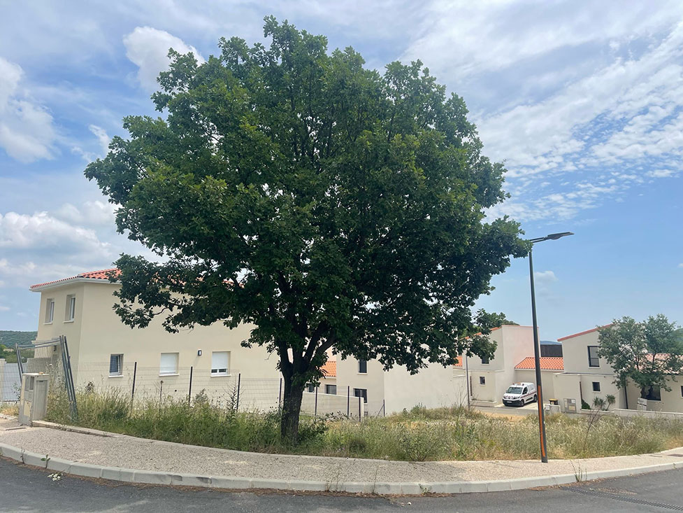 Image du modèle de maison 3.jpg