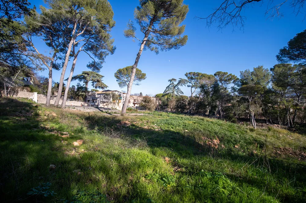 Image du modèle de maison 1.jpg