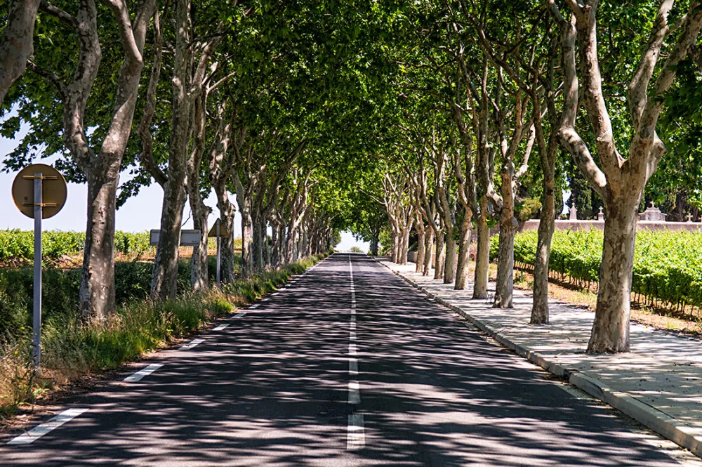 Image du terrain Terrain - 382