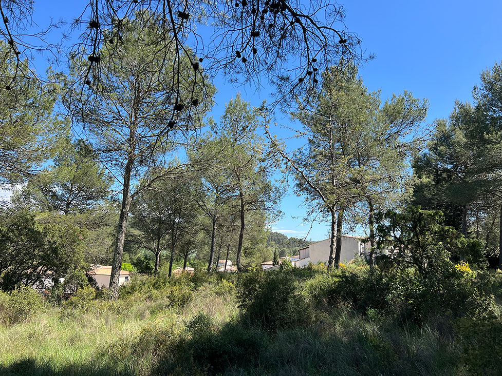 Image du modèle de maison 5.jpg