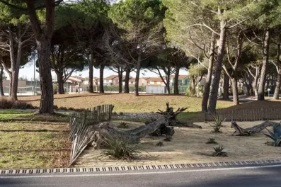 Image du modèle de maison 7.jpg