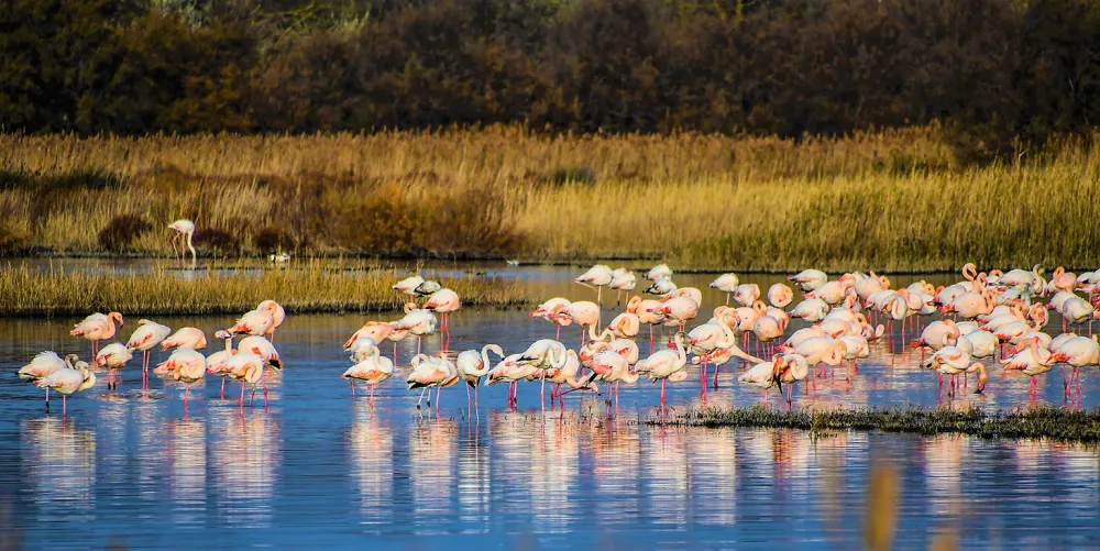 Image du modèle de maison 5.jpg