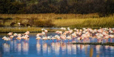 Image du modèle de maison 4.jpg