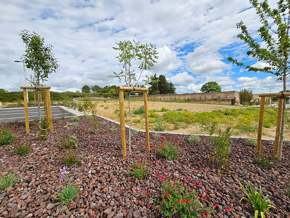 Image du terrain Terrain - 400