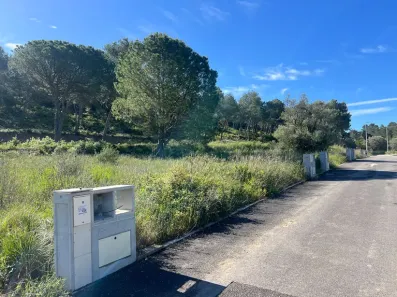 Image du modèle de maison 3.jpg