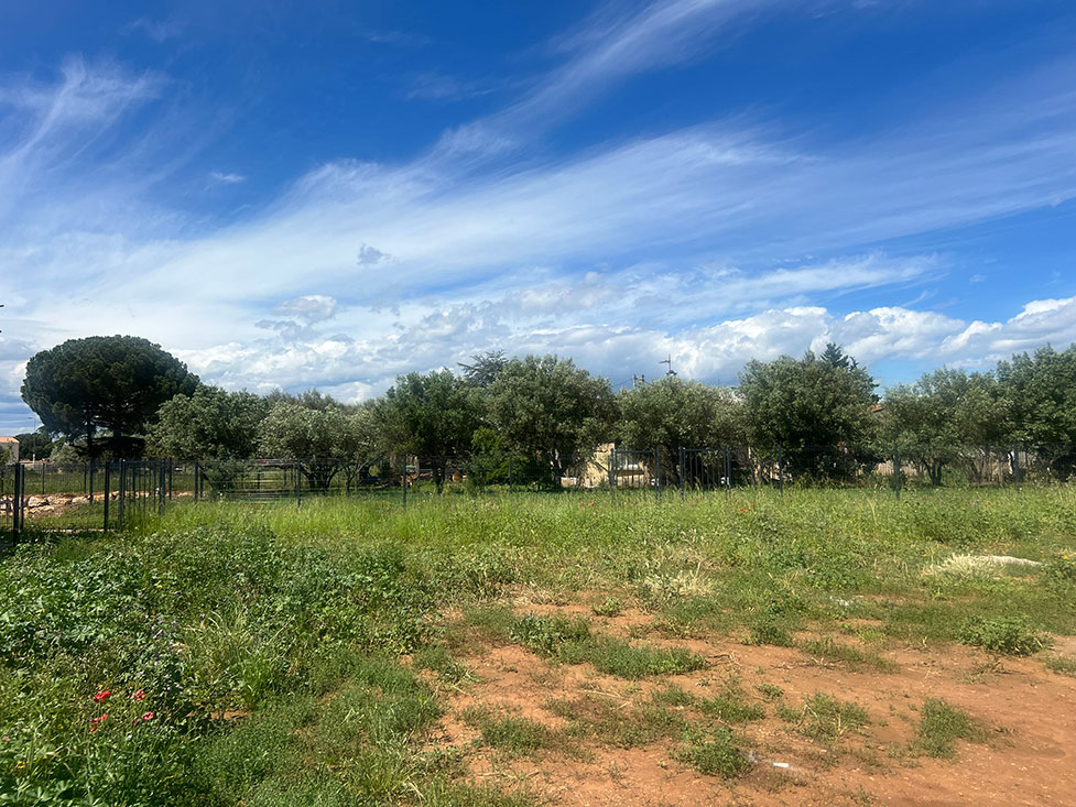 Image du terrain Terrain - 354