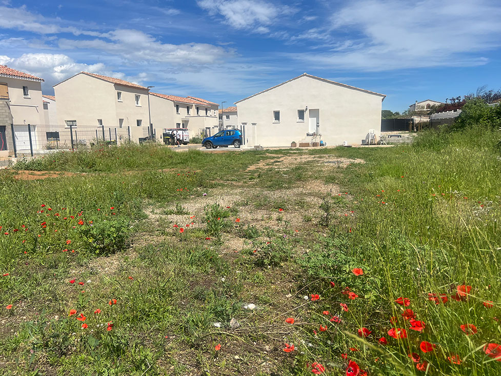 Image du modèle de maison 2.jpg