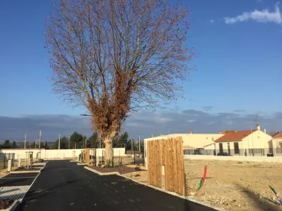 Image du modèle de maison 5.jpg