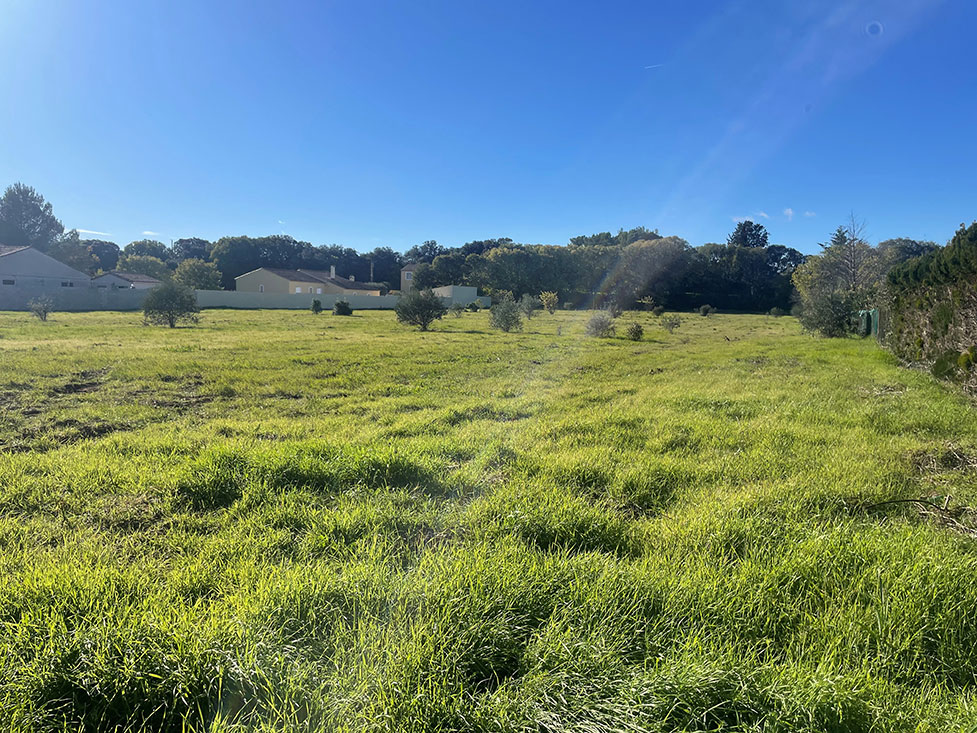 Image du modèle de maison 2.jpg