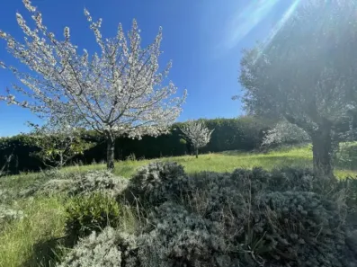 Image du modèle de maison 1.jpg