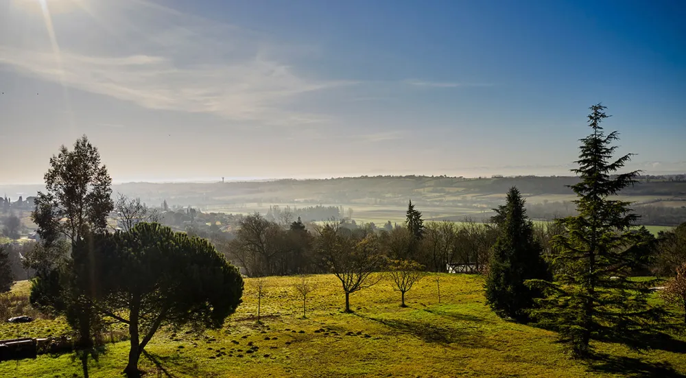 Image du terrain Terrain - 513