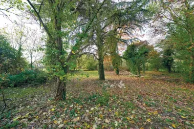 Image du modèle de maison 4.jpg