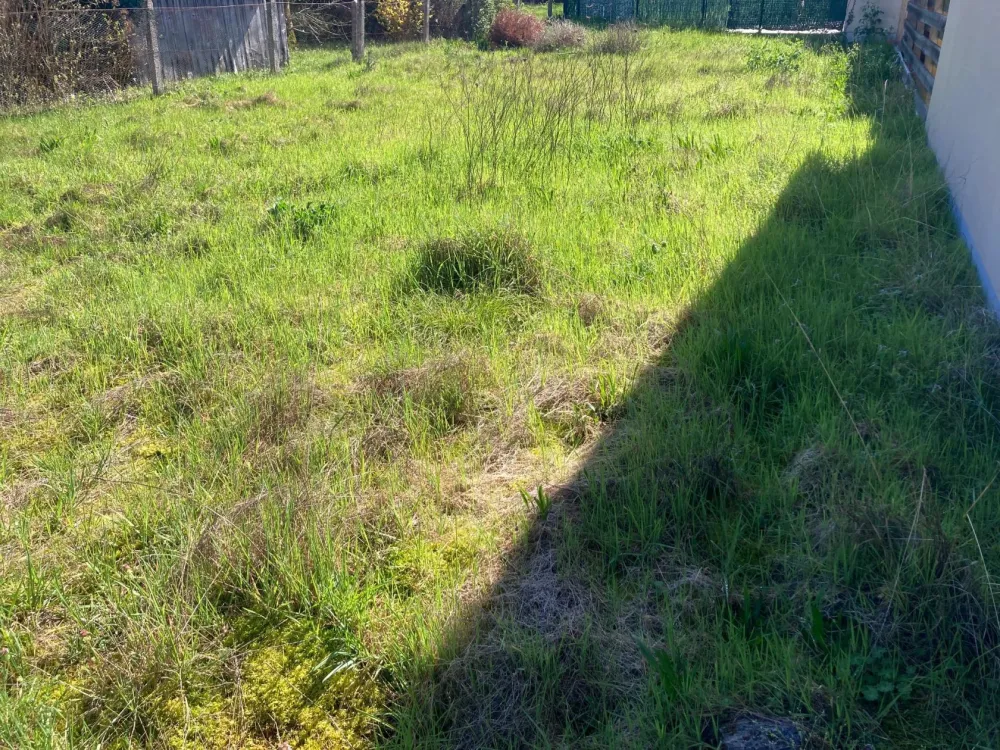 Image du modèle de maison bisca200