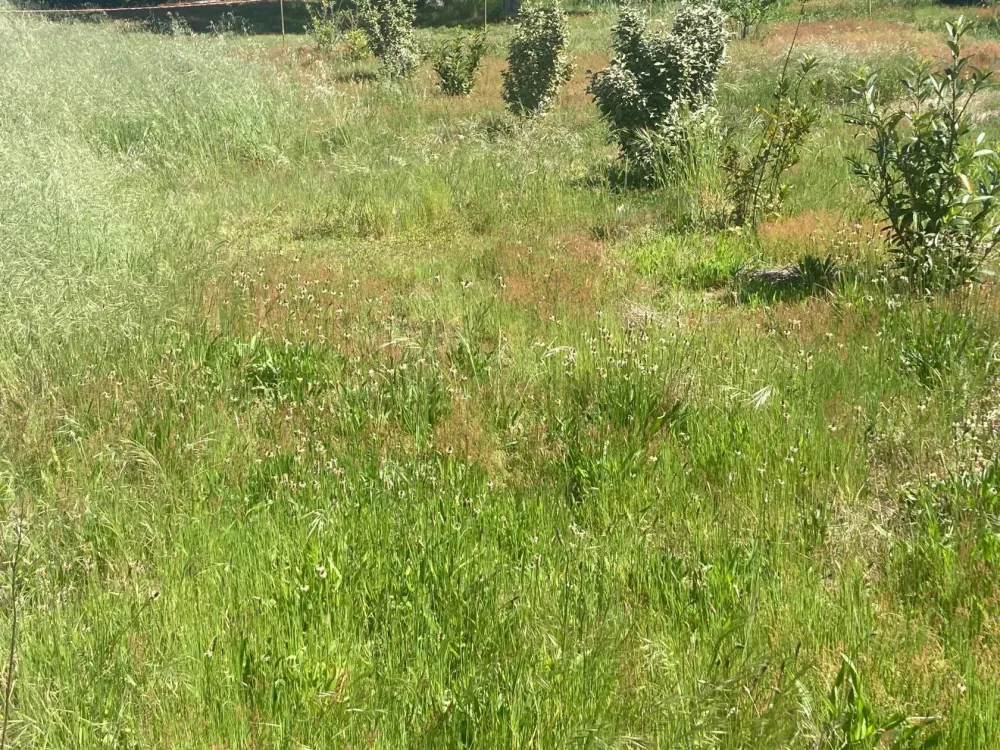 Image du terrain Terrain à bâtir de 400 m² à HOSTENS (33)