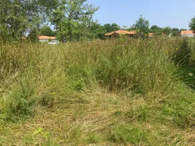 Image du modèle de maison LUGOS