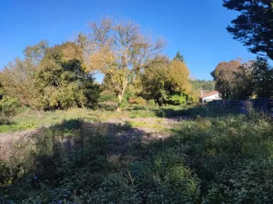 Image du modèle de maison 1