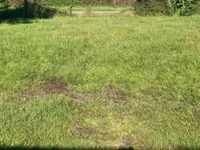 Image du modèle de maison par590