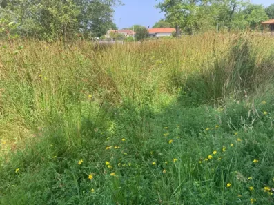 Image du modèle de maison bisca530