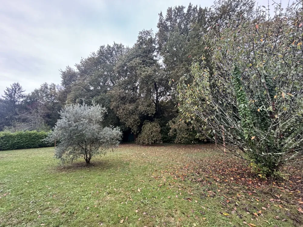 Image du modèle de maison 2025-10-22 18.58.44