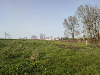 Image du modèle de maison terrain