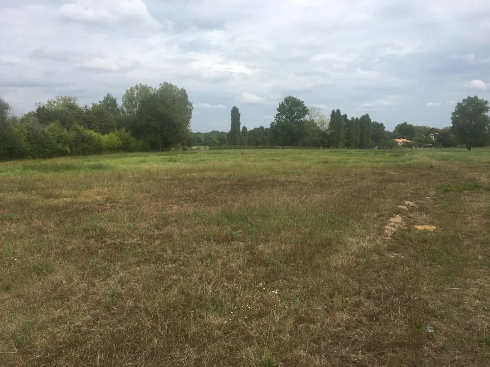Image du terrain Terrain à bâtir de 55000 m² à CAVIGNAC (33)