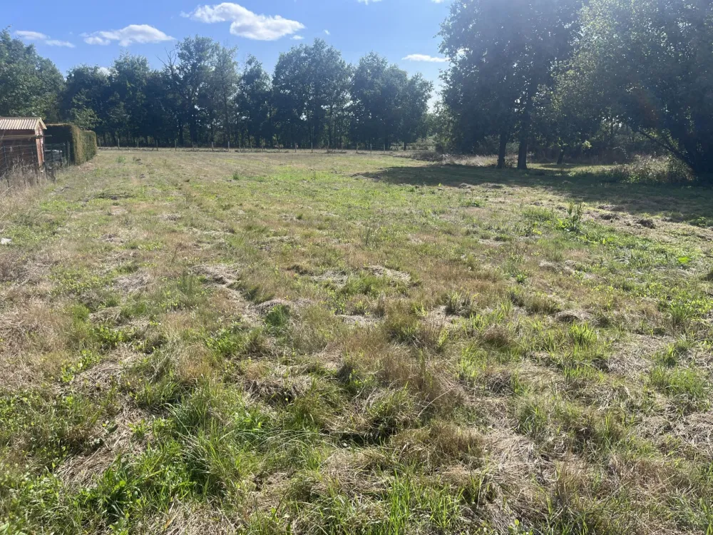 Image du terrain Terrain à bâtir de 770 m² à SAINT-ANDRE-DE-CUBZAC (33)