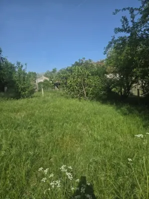 Image du modèle de maison 20260424_172547