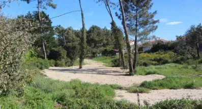 Image du modèle de maison top-3-des-terrains-bord-de-mer-a-vendre-sur-la-cote-basque-9d27a33a47cd9f9595517fcb9222211a