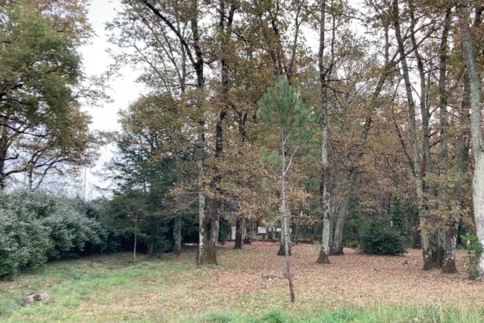 Image du modèle de maison Capture d’écran 2026-02-17 100944