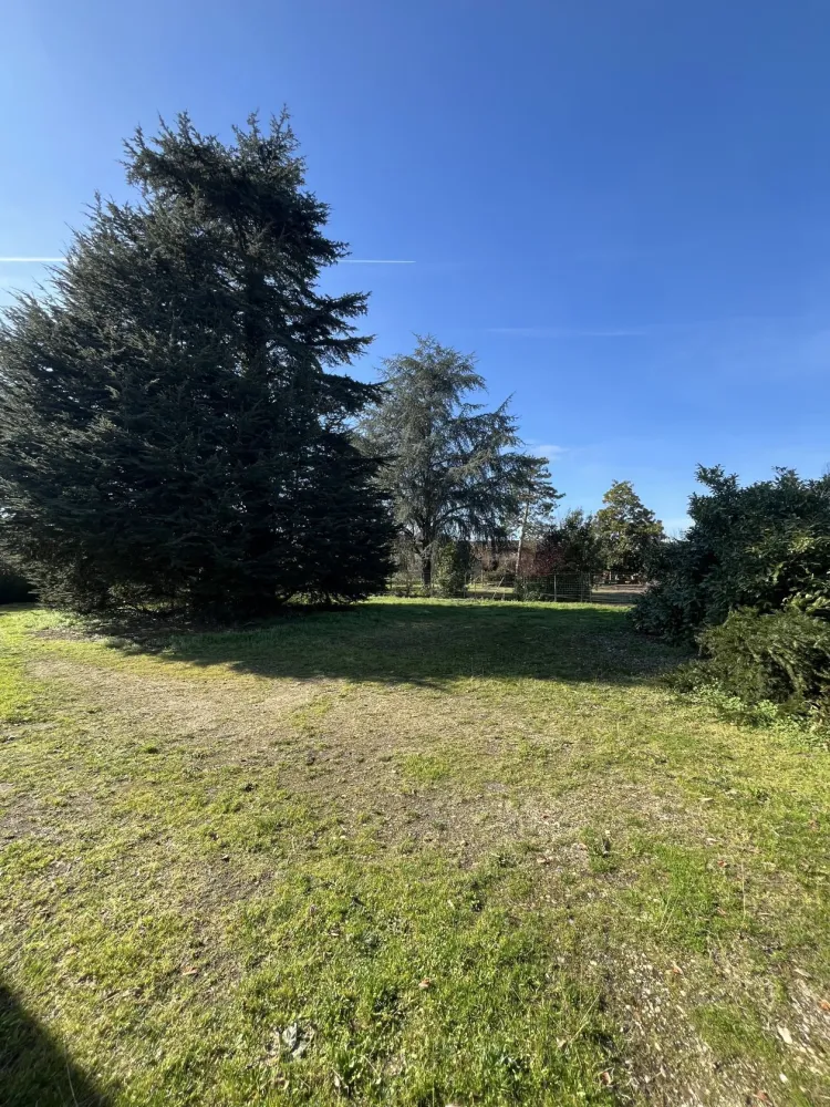 Image du modèle de maison beau terrain arboré beautiran proche bordeaux