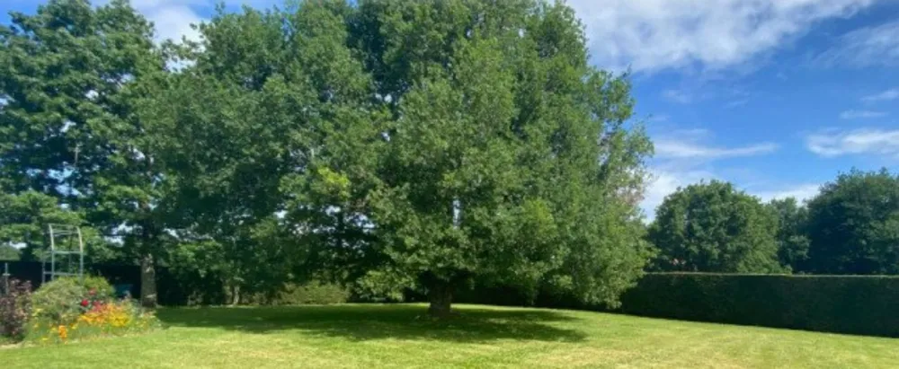 Image du terrain Terrain à bâtir de 380 m² à PREIGNAC (33)