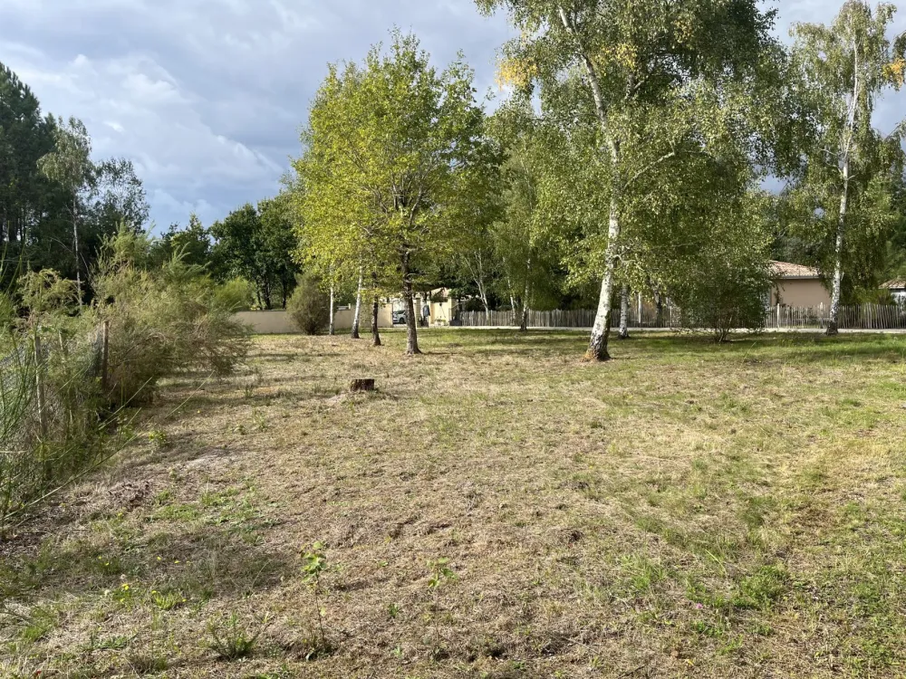 Image du terrain Terrain à bâtir de 1094 m² à VENSAC (33)