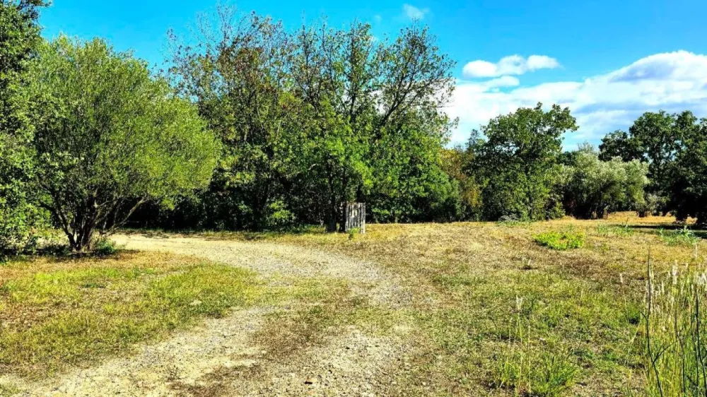 Image du terrain Terrain à bâtir de 650 m² à MARGAUX (33)