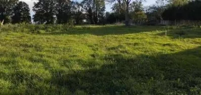 Image du modèle de maison 1 (10)