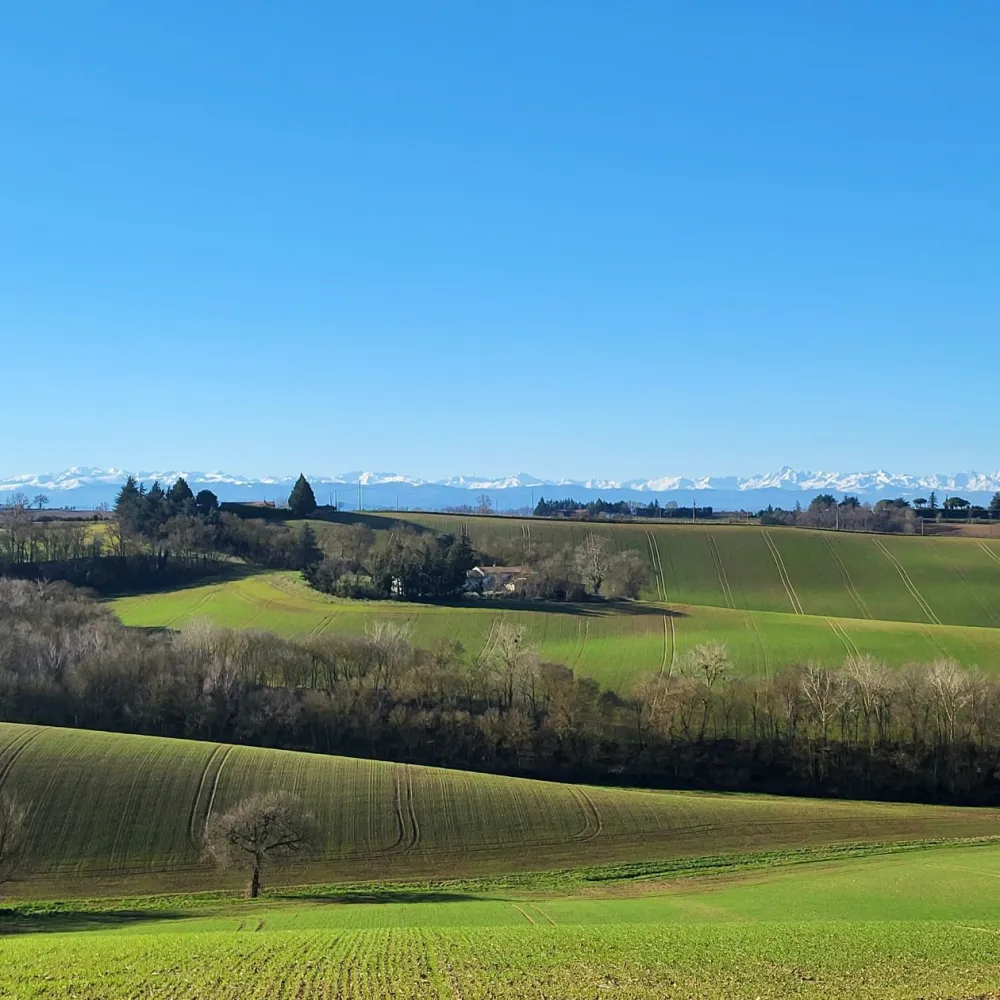 Image du terrain Terrain à bâtir de 500 m² à LAGARDE (31)