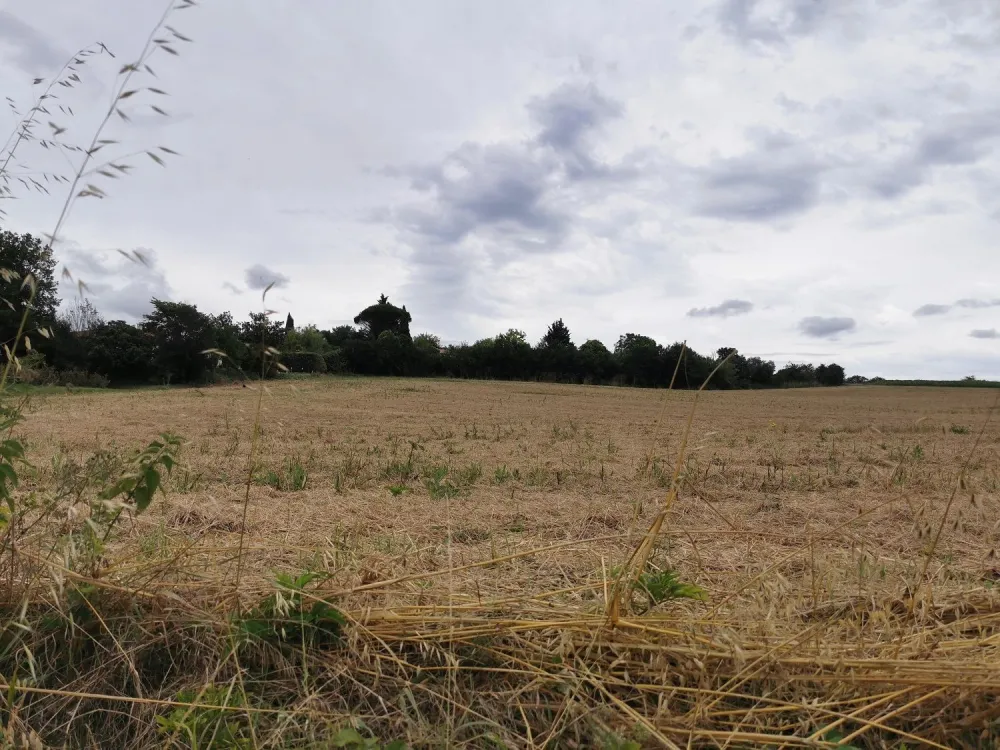 Image du terrain Terrain à bâtir de 800 m² à VACQUIERS (31)