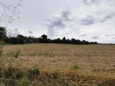 Image du modèle de maison TERRAIN 10