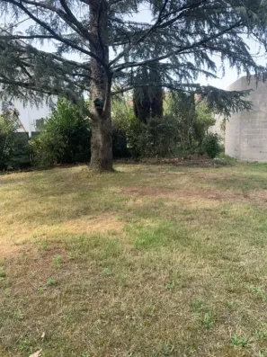 Image du modèle de maison MOULIN NEUF GUJAN (2)