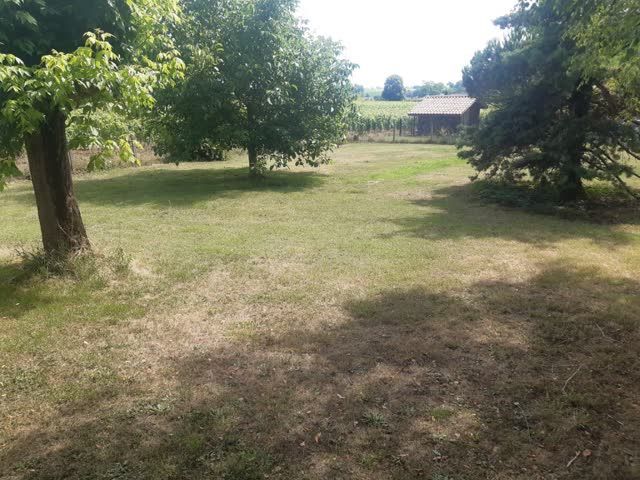 Image du modèle de maison 637c90c95459c568729358