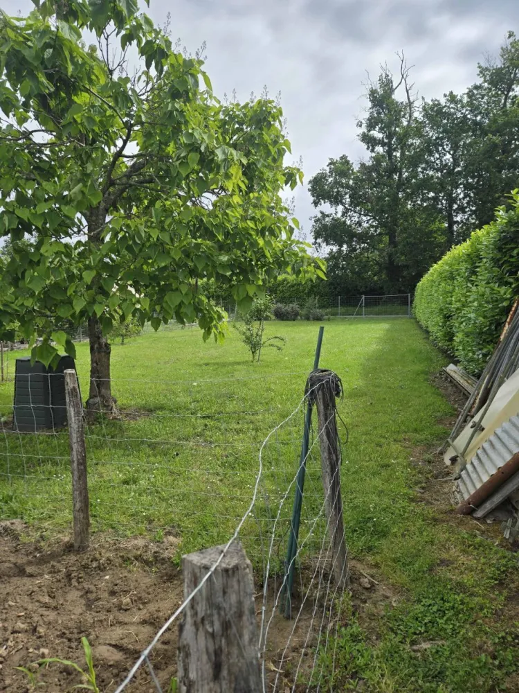 Image du modèle de maison 20260519_110438