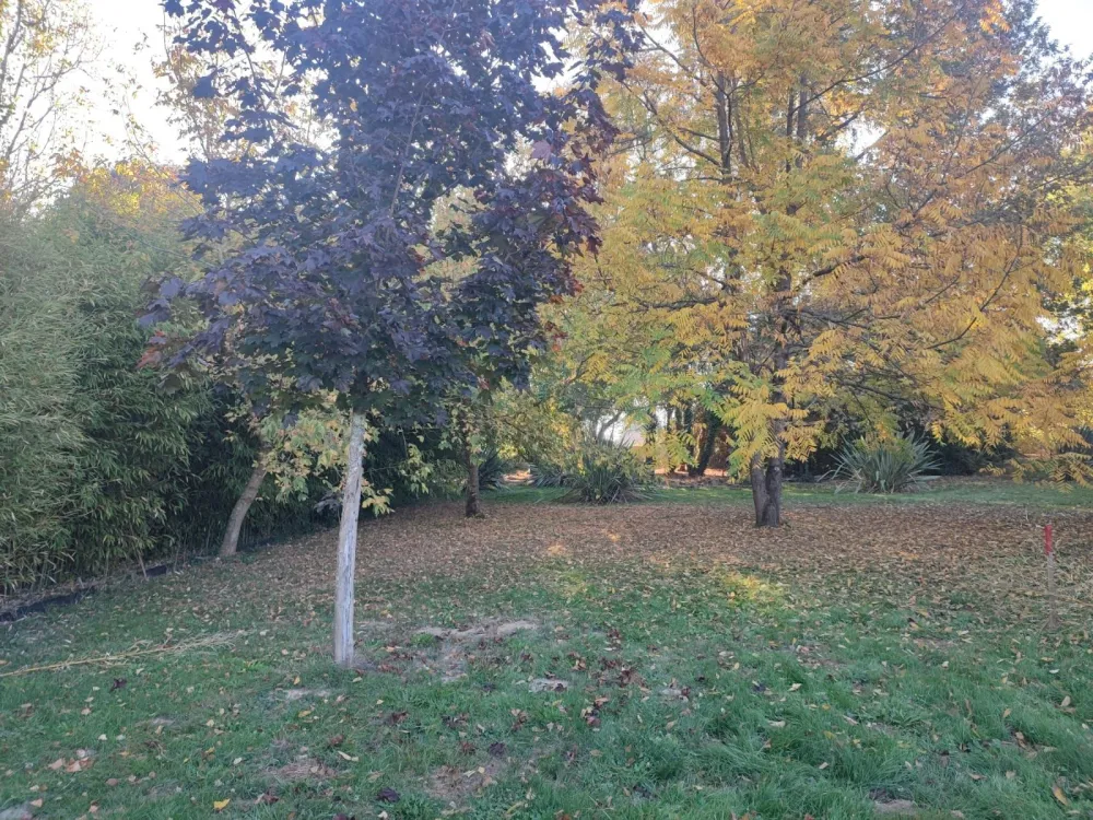 Image du terrain Terrain à bâtir de 600 m² à SAINT-MAGNE (33)