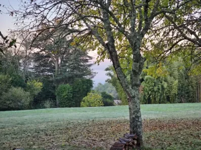 Image du modèle de maison 20251014_082610