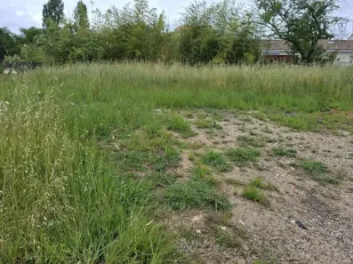 Image du modèle de maison 20260520_133531