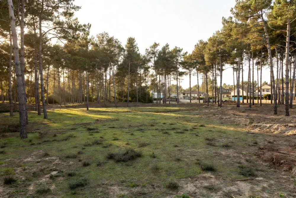Image du terrain Terrain à bâtir de 500 m² à MARGAUX (33)