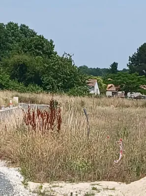 Image du modèle de maison 20250613_143434